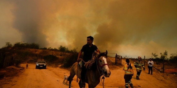 At least 46 reported dead in Chile as fires move into densely populated areas – National