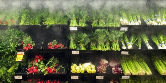World food price index continues to tumble, UN agency says – National