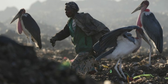 Electronic waste is on the rise, UN warns, as recycling expected to drop – National