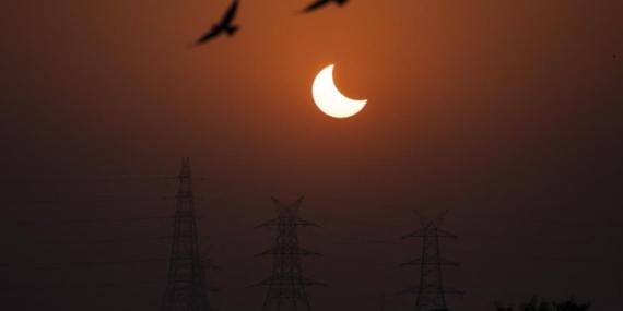 Anxious oblivious? Canadian zoo studying behaviour of animals during eclipse