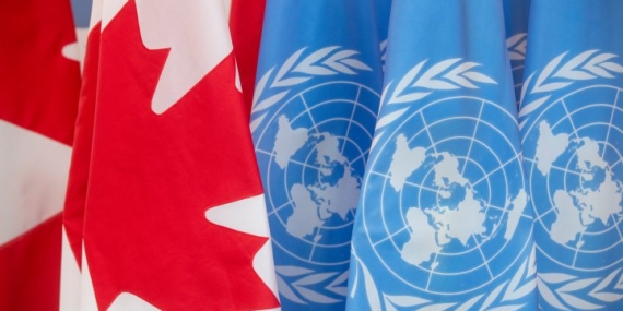 Canada appoints new ambassadors to Palestinian Authority, UN – National