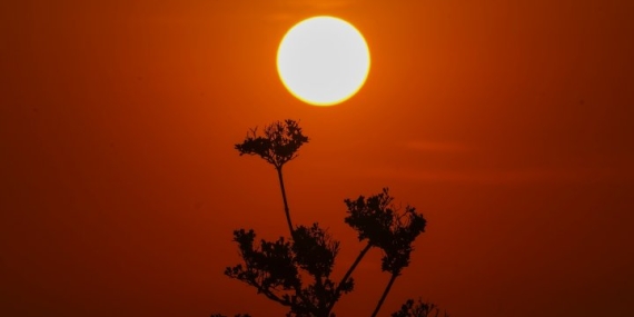 Mexico heat wave: Heat records shattered, experts warn of hail, whirlwinds – National