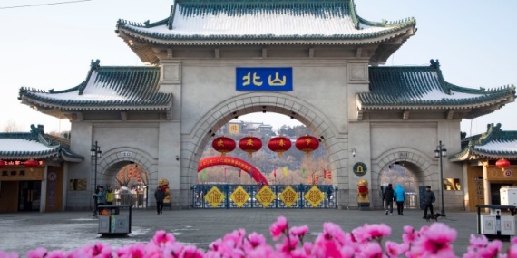 Four U.S. college instructors stabbed in China park, suspect arrested – National