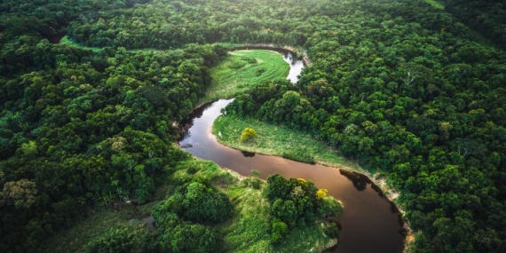 Remote Amazon tribe hooked on the internet, thanks to Elon Musk’s Starlink – National