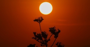 may-temperature-record-climate-change.jpg