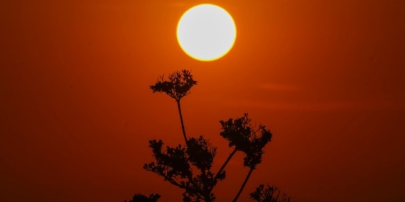 UN head warns of ‘climate hell’ as May sets temperature record – National