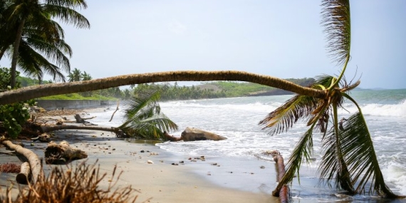 Hurricane Beryl forces Canadian airlines to cancel flights. What to know – National