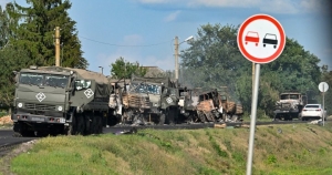 CP215310151.jpg