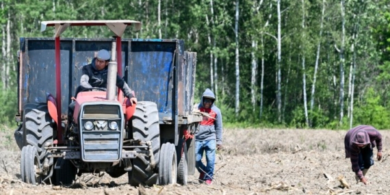 Quebec court authorizes temporary foreign worker class action on closed permits – Montreal