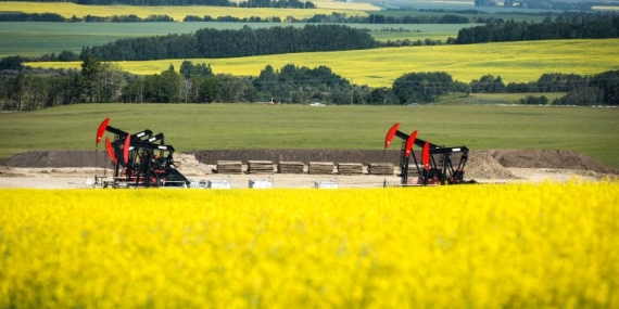 China hits Canada with anti-dumping canola probe after EV tariffs – National