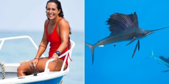 Italian surfer dies after being impaled by swordfish in ‘freak accident’ – National