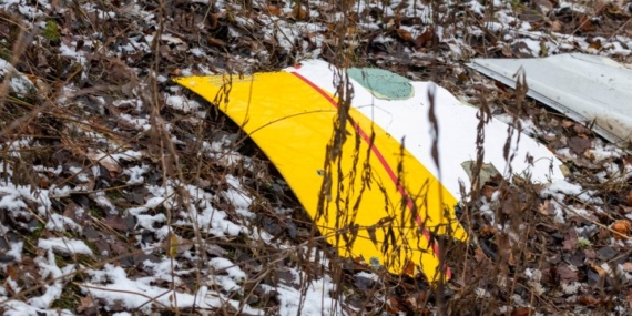 DHL cargo plane crashes into home in Lithuania, kills 1 – National