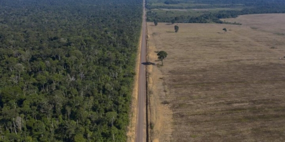 38 people die in a crash between a passenger bus and a truck in Brazil – National
