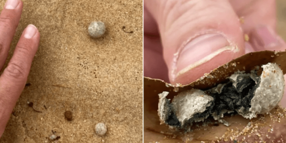 Mystery balls of debris prompt closure of 9 beaches in Sydney, Australia – National
