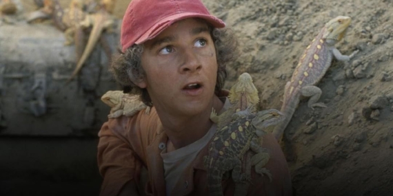 Disney Plus is working on its second reimagining of the cult ’90s children’s book Holes – and this one will feature a female lead